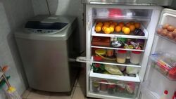 Blk 504A Montreal Drive (Sembawang), HDB Executive #462762221